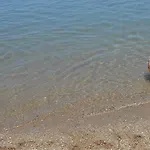 Sea Breeze *