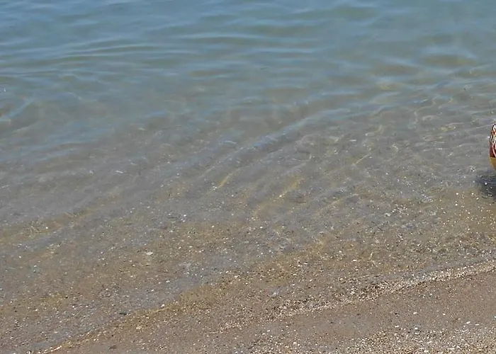 Sea Breeze *