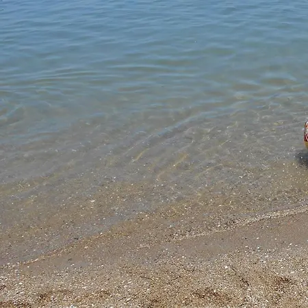 Sea Breeze *